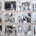 BLACK BELLY TARANTULA (12) Stills 8"x10" 1971