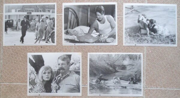 BONNIE & CLYDE (5) US Stills 8x10" Int'l Style 1967