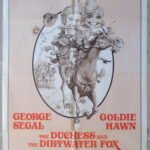 DUCHESSE AND DIRTWATER FOX USA 27x41" 76/54