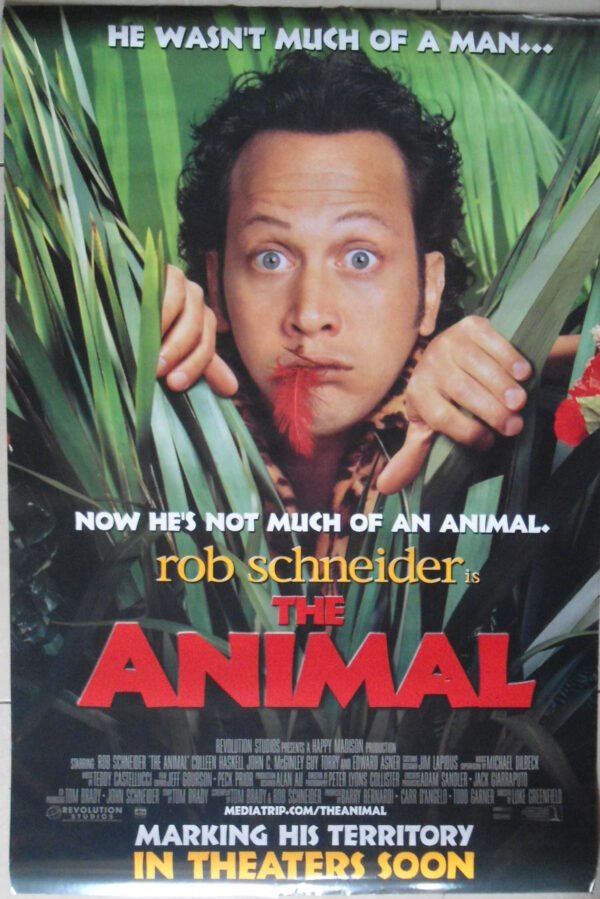 ANIMAL Rolled DS 2001 Int'l Adv Style