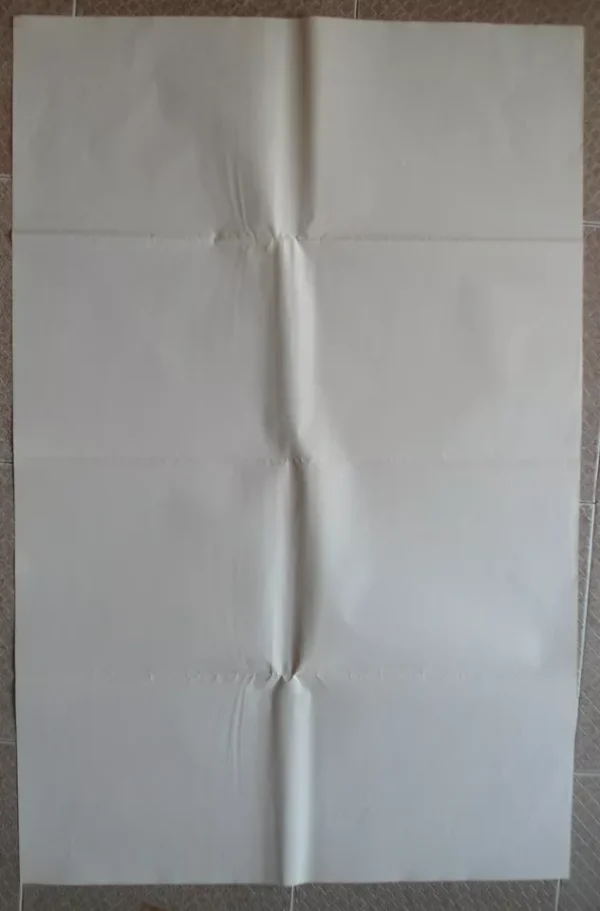 JERK 27:x41" US Movie Poster Steve Martin Film 1979 NM - Image 2