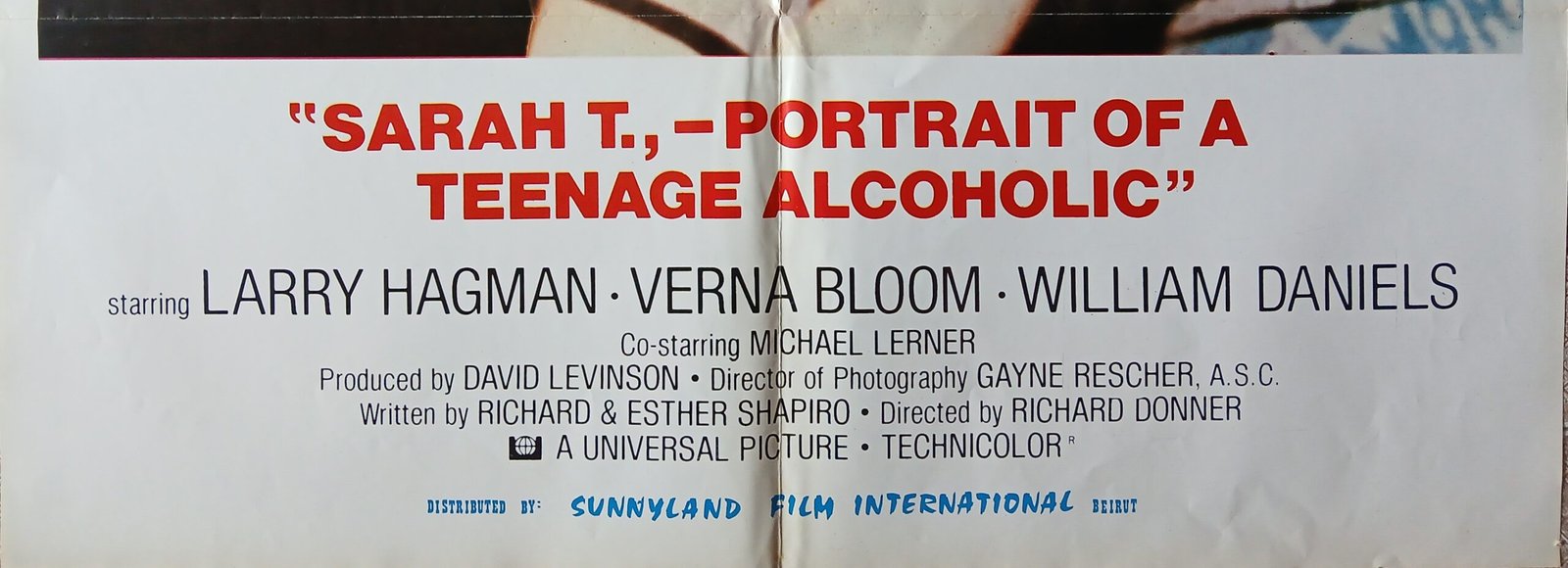 SARAH T. Teenage Alcoholic Lebanese/English 27.5x39.4" Movie Poster 1975 - Image 3