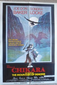 SHADOW OF CHIKARA Lebanese/English 27.5x39.4" Film Movie Poster 1977