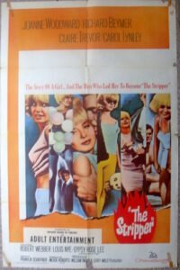 STRIPPER Adult One sheet Ptd in USA movie poster 27x41" Film 63/123